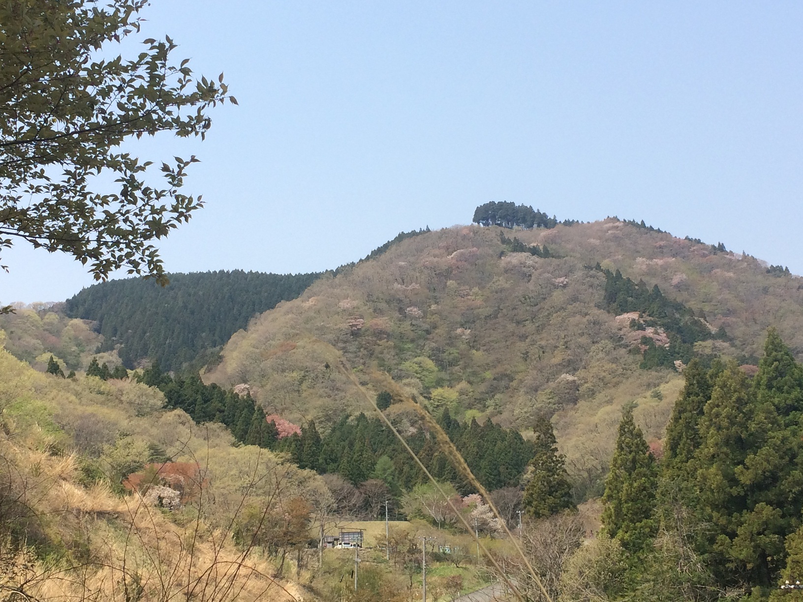 鹿狼山の写真